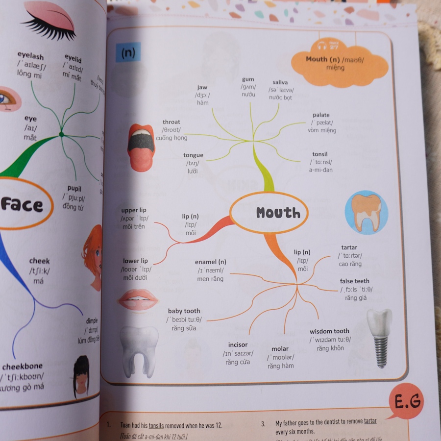 Combo Mindmap English Grammar và Mindmap English Vocabulary - Sách Bản Quyền Học Kèm App Online - Newbooks