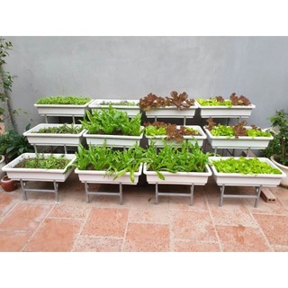 Kệ trồng rau bậc thang cỡ đại cho chậu 67x42cm bằng inox hoặc sắt