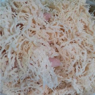 100g - Rong sụn chân vịt