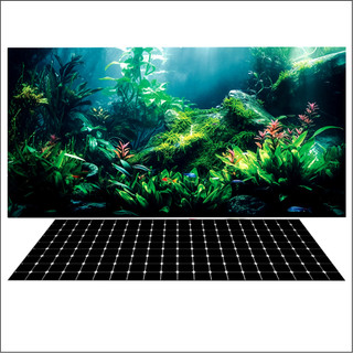 Tranh 3d decal có sẵn keo, tranh dán bể cá thủy sinh, bể cá rồng