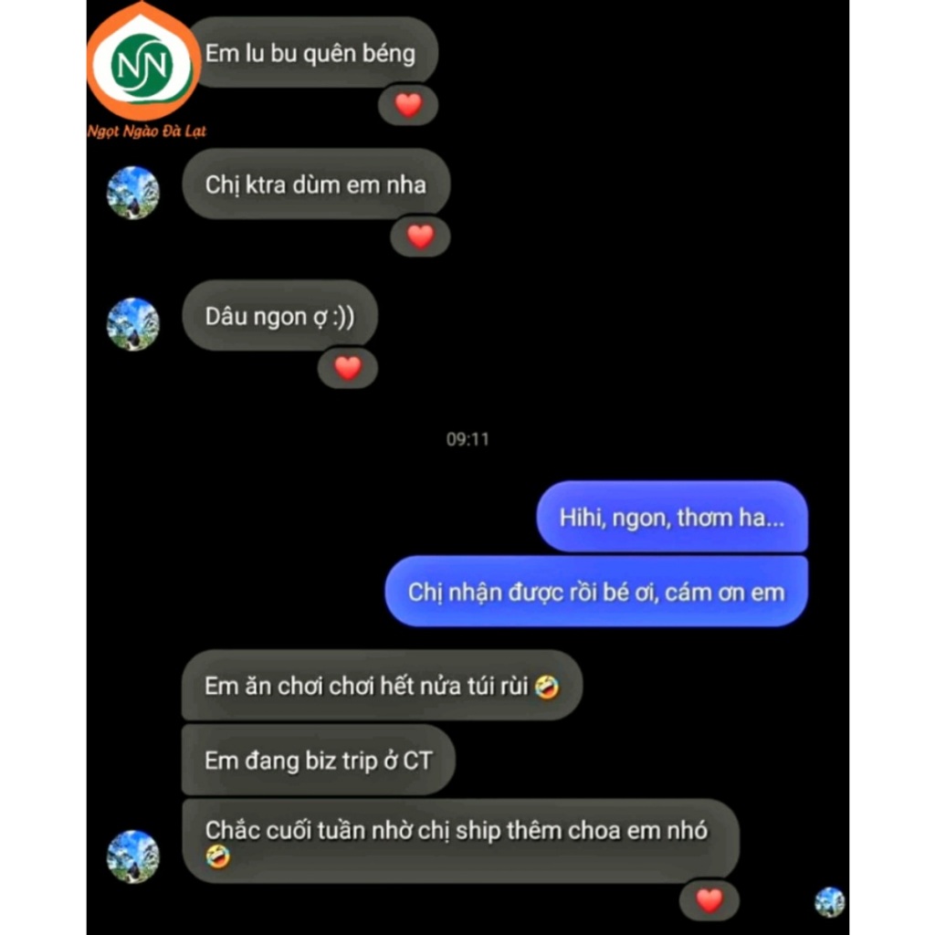 Dâu tây sấy thăng hoa Đà Lạt chua chua ngọt ngọt  |NGỌT NGÀO ĐÀ LẠT Store|