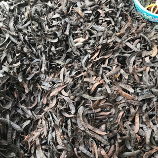 Bồ Kết Khô 500g ( bồ kết quả lép như hình,bồ kết đốt)