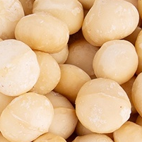 Nhân Macca sấy chín nguyên vị cao cấp Nhân Macca Nuta Food sấy nguyên vị mới nhất