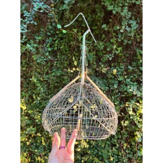 Lồng bẫy hút mật