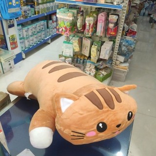 Thú bông loại lớn nhiều mẫu
