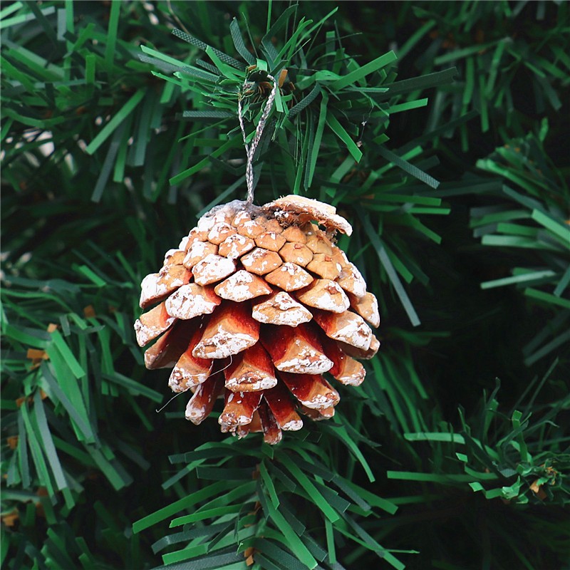 Combo 12 quả thông trang trí giáng sinh loại tự nhiên/vàng/bạc - VUABAOBI, phụ kiện trang trí noel