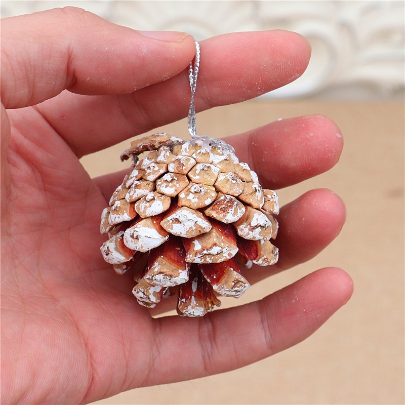 Combo 12 quả thông trang trí giáng sinh loại tự nhiên/vàng/bạc - VUABAOBI, phụ kiện trang trí noel