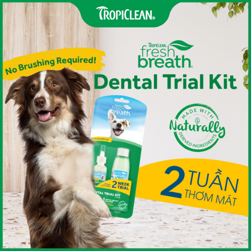 Bộ Chăm Sóc Răng Miệng Thú Cưng Dùng Thử cho Chó Tropiclean