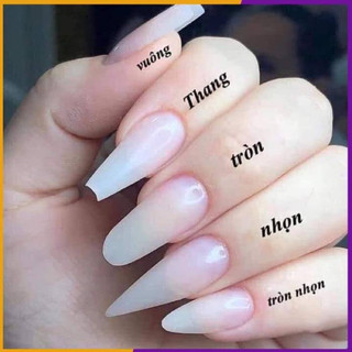 [H037] Nailbox tráng gương full đen mã 37