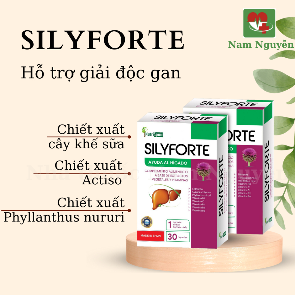 Silyforte Tây Ban Nha
