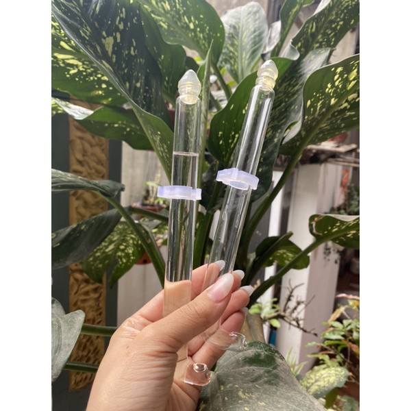 Cóng đựng nước cho chim chào mào ống dài chất liệu thủy tinh cao cấp đủ cỡ siêu bền