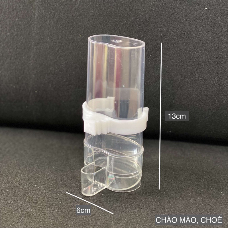 Cóng nhựa cho chim ăn uống tự động mica mào- choè số 2