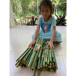 Ống tre cây tre dài 50 cm