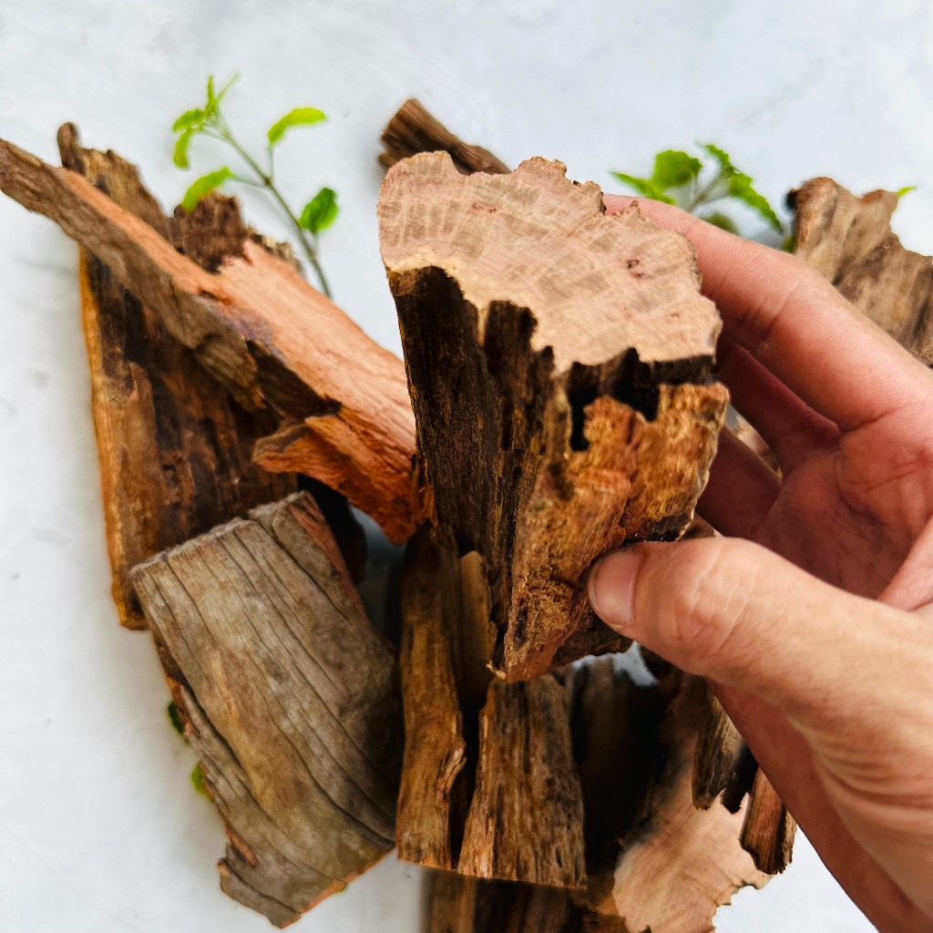 Lũa thủy sinh trang trí hồ cá