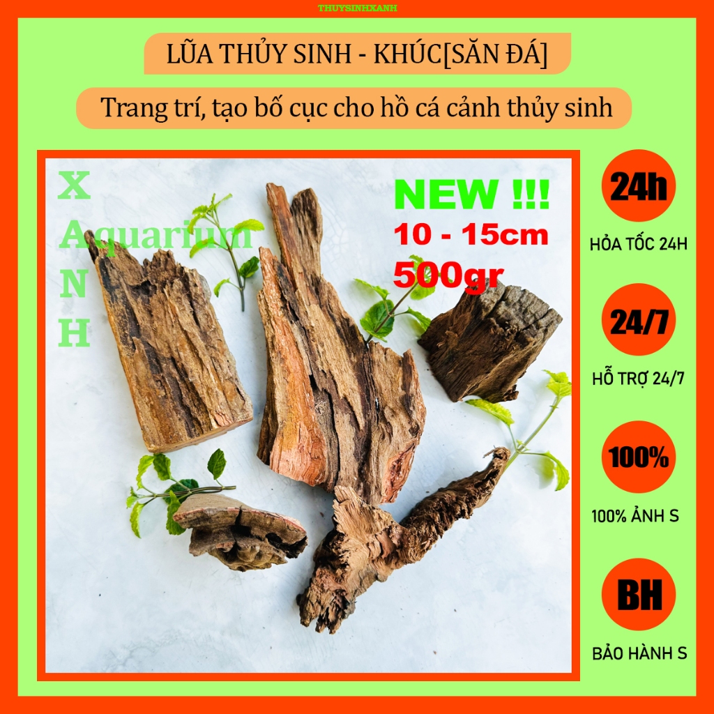 Lũa thủy sinh trang trí hồ cá