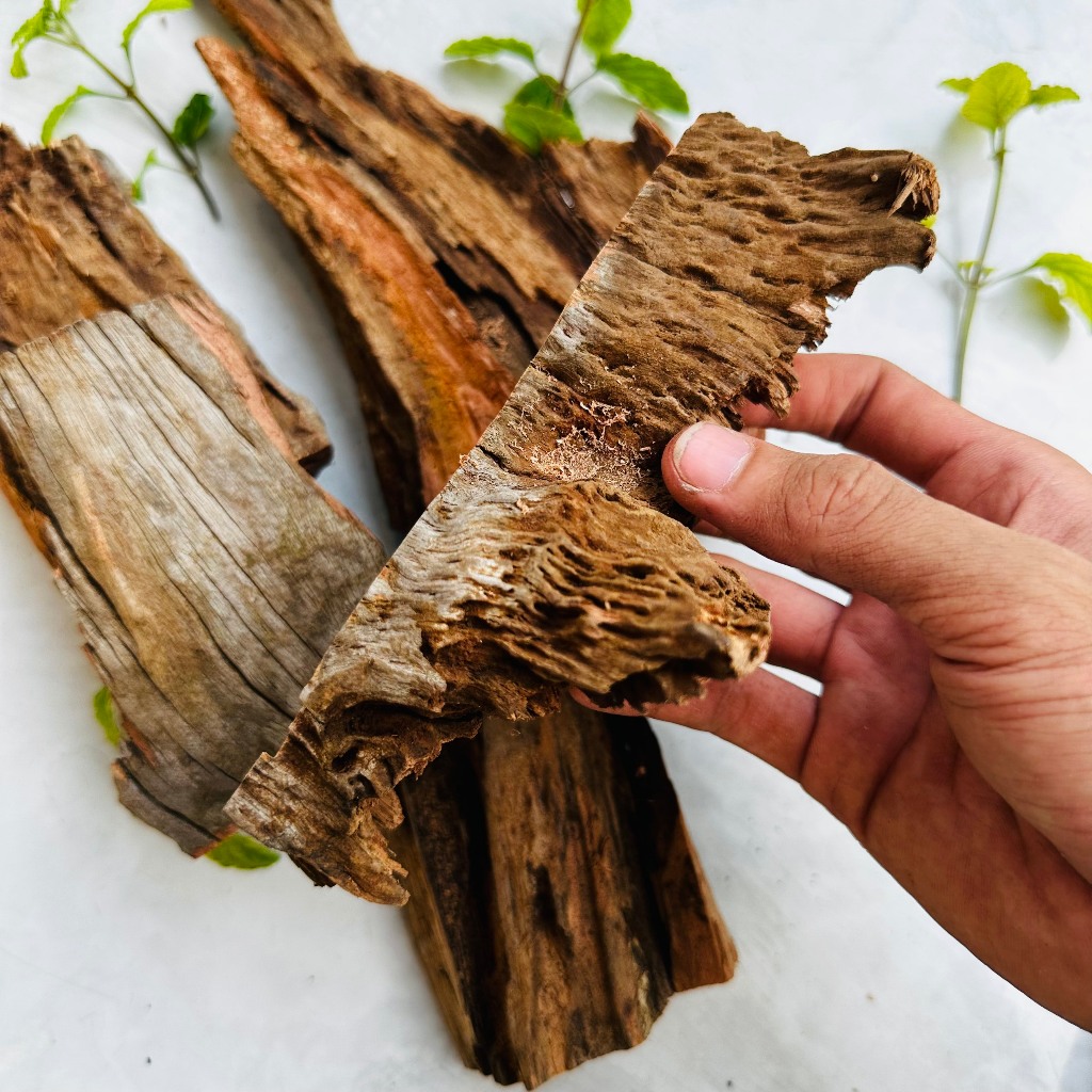 Lũa thủy sinh trang trí hồ cá