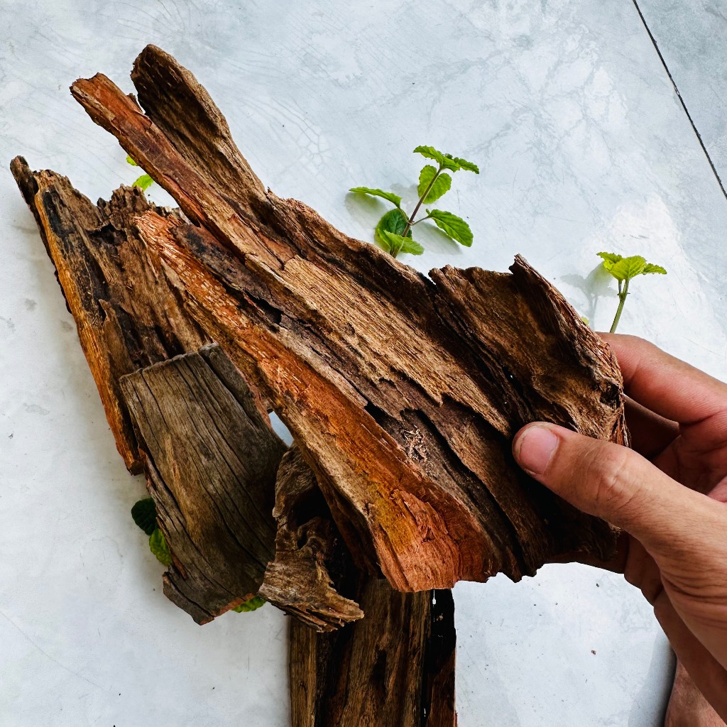 Lũa thủy sinh trang trí hồ cá