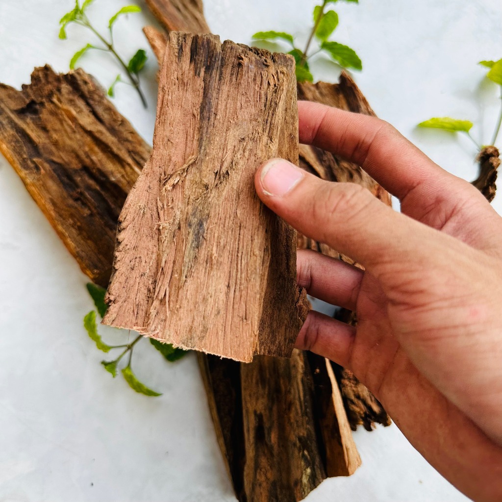 Lũa thủy sinh trang trí hồ cá