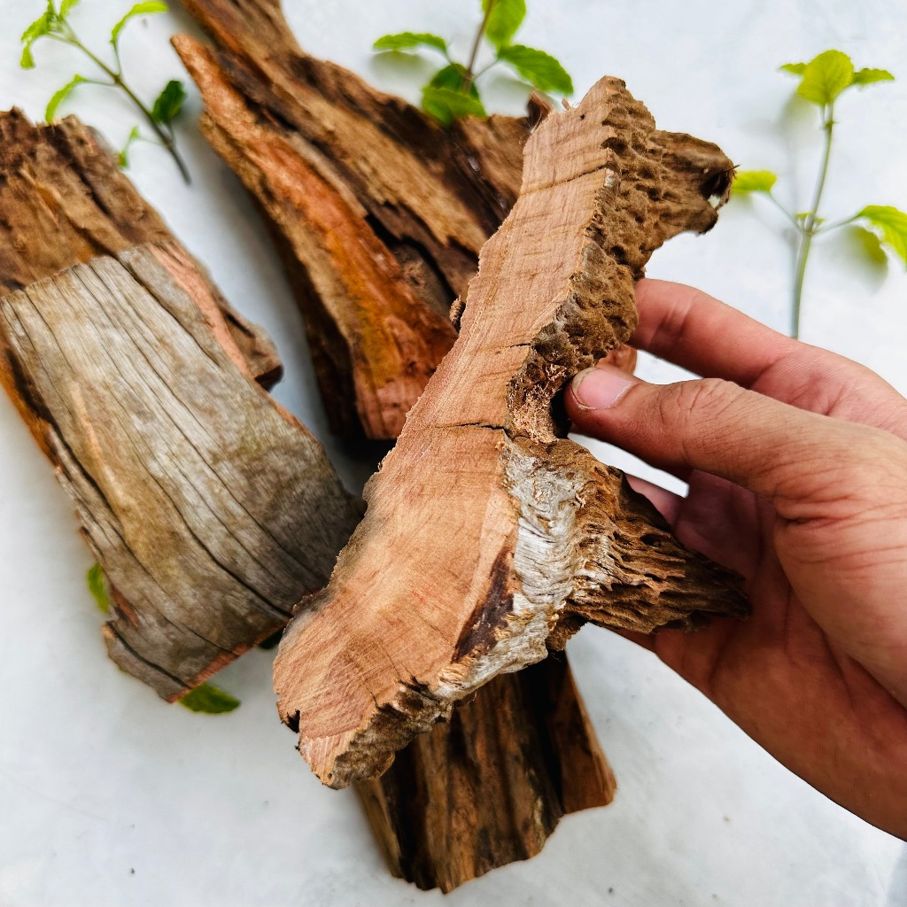 Lũa thủy sinh trang trí hồ cá
