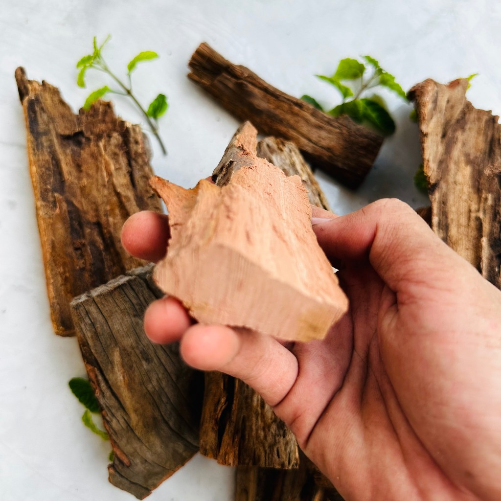 Lũa thủy sinh trang trí hồ cá