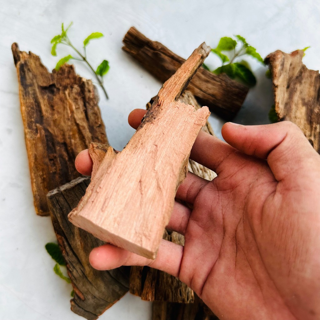 Lũa thủy sinh trang trí hồ cá