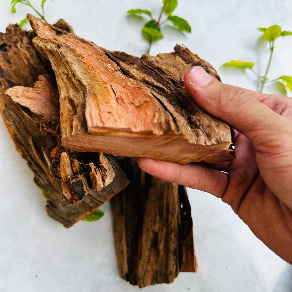 Lũa thủy sinh trang trí hồ cá