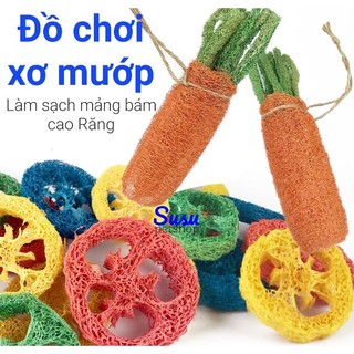 Đồ chơi cà rốt xơ mướp cho Thỏ, Bọ, Chinchilla, Mèo, Hamster