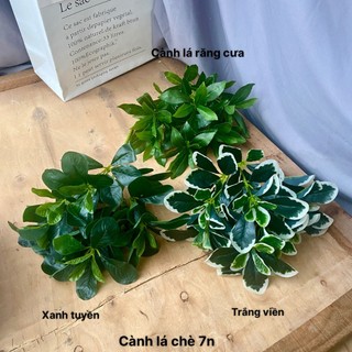 Cây giả, cây lá chè cao 44cm cây trang trí decor