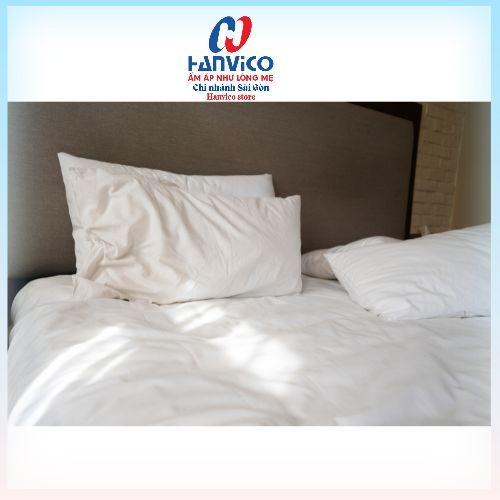 Ruột gối Hanvico Polyester  Ball Fiber