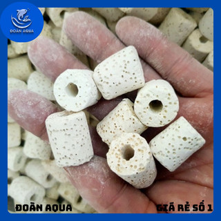Sứ nhẫn trắng Sứ lỗ trắng Sứ lọc vật liệu lọc nước bể cá 100gr