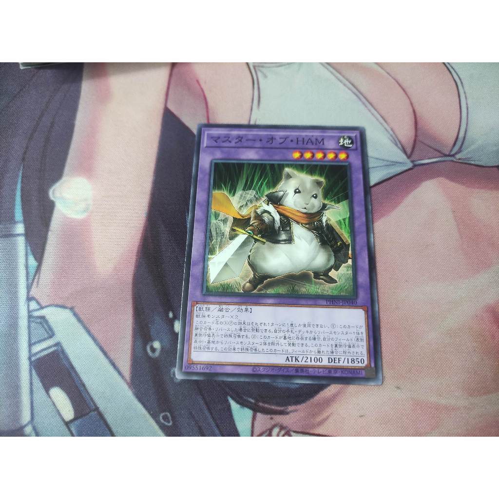 Master of HAM - PHNI-JP040