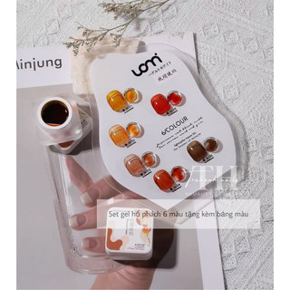 Set gel hổ phách 6 màu