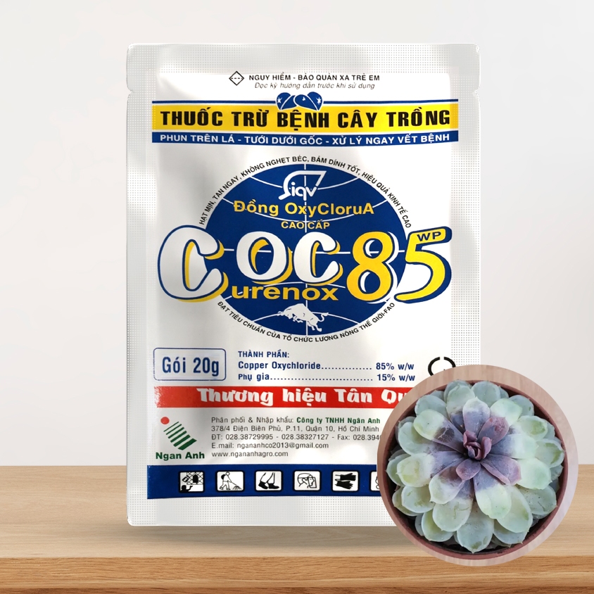 Coc85 - Thuốc trị nấm bệnh cho sen đá và các loại cây trồng - Gói 20g