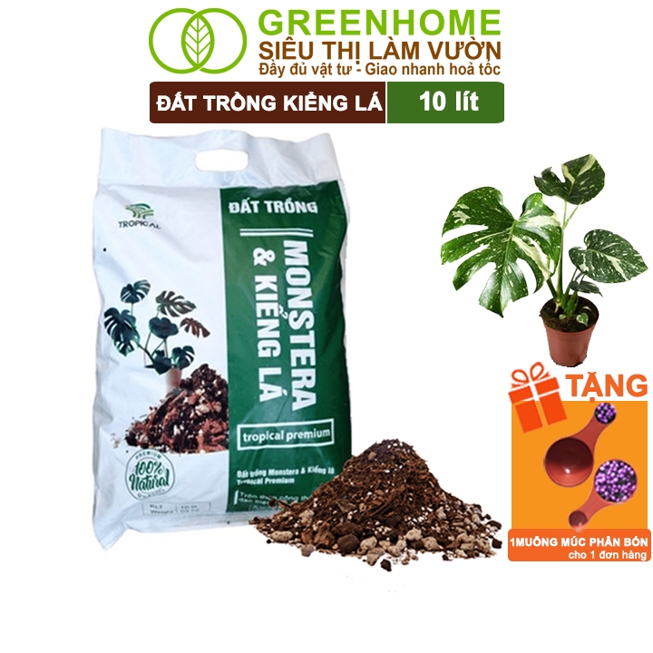 Đất Trồng Kiểng Lá Greenhome, Bao 10 Lít (3kg), Giá Thể Trộn Sẵn, Tiện Lợi Cho Monstera, Rễ Khoẻ