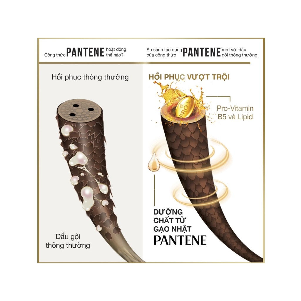 Dầu xả Pantene 3 phút diệu kì phục hồi hư tổn 300ml