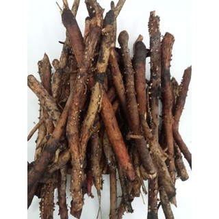 Rễ Cây Dừa tươi 1kg [Thảo Dược Ngọc Ánh]