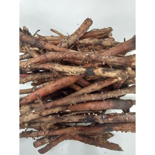 Rễ Cây Dừa tươi 1kg [Thảo Dược Ngọc Ánh]