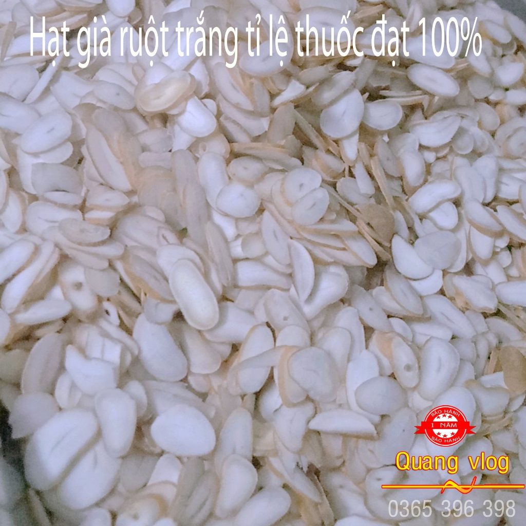 Hạt sang trắng dạ dày đại tràng của người dân tộc Hmong 1 gói 100 lát