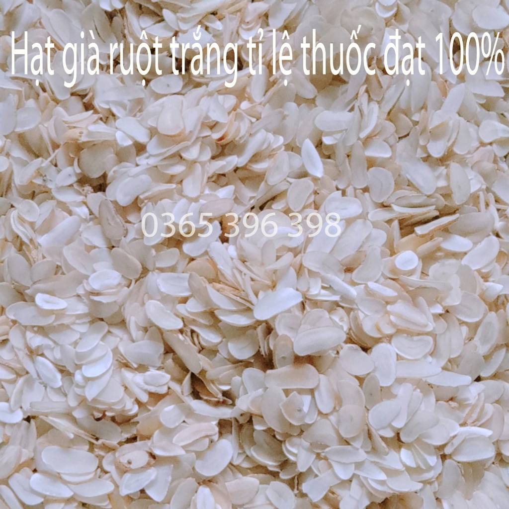 Hạt sang trắng dạ dày đại tràng của người dân tộc Hmong 1 gói 100 lát