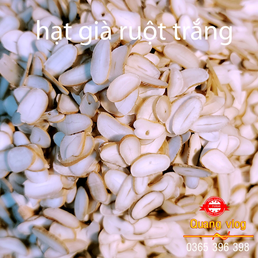 Hạt sang trắng dạ dày đại tràng của người dân tộc Hmong 1 gói 100 lát
