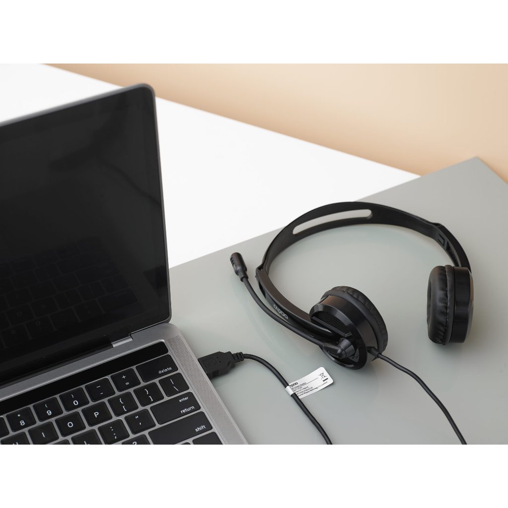 Tai Nghe Rapoo H120 có mic - điều khiển dây đa năng