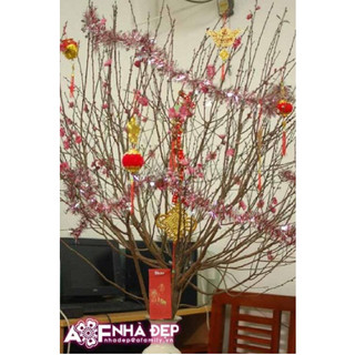 Khánh chúc mừng mừng năm mới