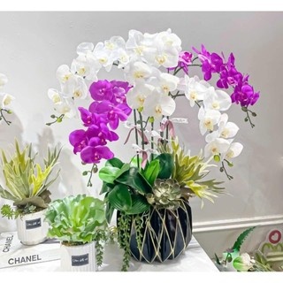 Bình hoa lan hồ điệp 5 cành cắm bình đá cao cấp trang trí nhà cửa