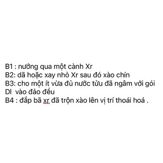 xương rồng ba cạnh 10 nhánh (xr trừ tà)