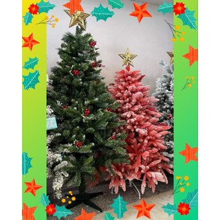 [TẶNG SAO ĐỈNH VÀNG + ĐẾ GIẤY che gốc] Cây thông noel 3 lá trái đỏ 1m5, 2m, 1m2. CÂY THÔNG 3 LÁ trái thông 1m8, 2m,