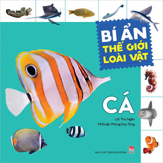 Sách-Bí ẩn thế giới loài vật - Cá
