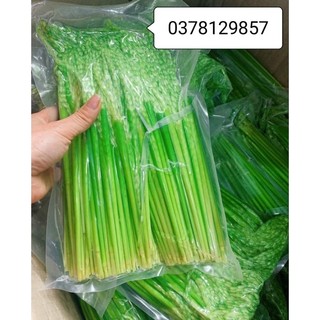 Đòng Đòng nếp Điện Biên 1kg hút chân không (cam kết hàng thơm chất lượng)