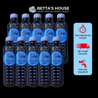 [Bettashouse] COMBO 10 Chai nước cốt lá bàng + 1 hủ art sấy khô 10g
