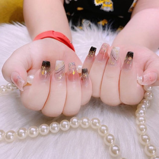 Lông Vũ Chụp Ảnh trang trí nổi bật