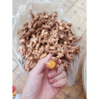 Nghệ sạch nhà trồng củ nhỏ (nghệ ta) 1kg